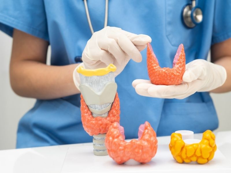 tiroid-ameliyati-sonrasi-gunluk-hayata-donus