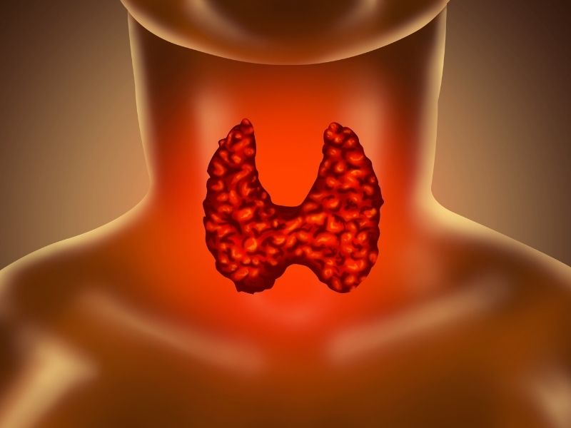 hipotiroidi-neden-olur